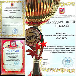 Звёзды Подмосковья – 2019