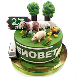 День Рождения компании ООО "БИОВЕТ". 27 лет!