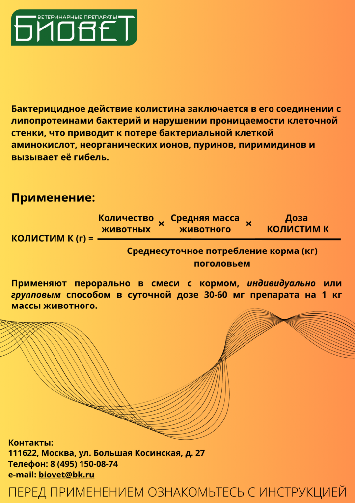 2.png 2.png