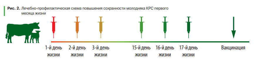 картинка 2.png картинка 2.png